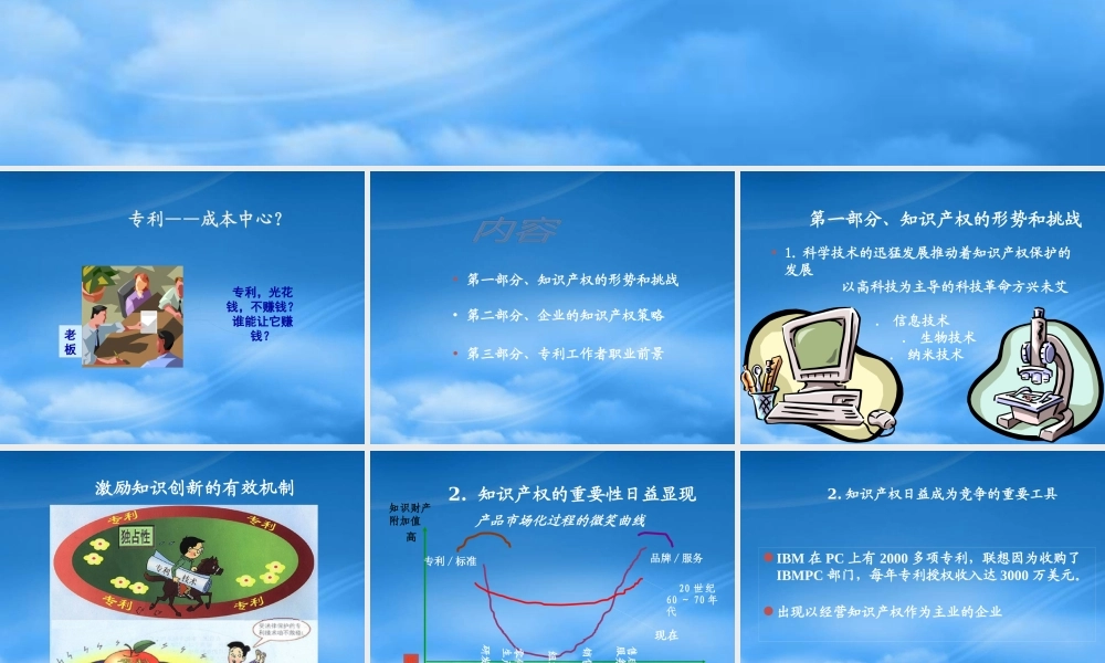 专利战略实务与工作者职业前景概述