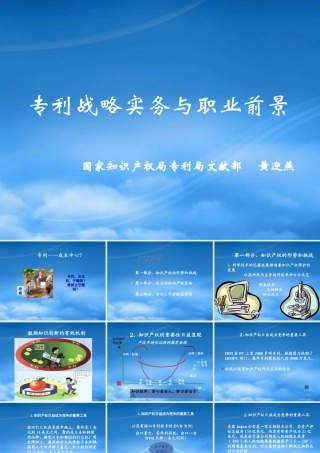 专利战略实务与工作者职业前景概述