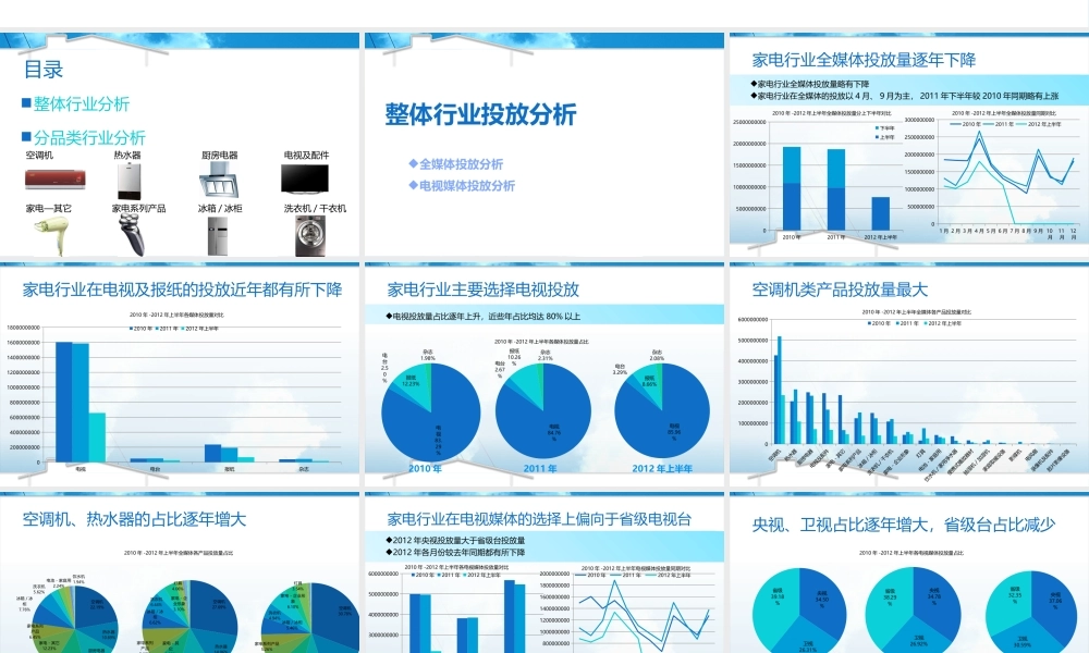 XXXX年家电行业广告投放分析报告