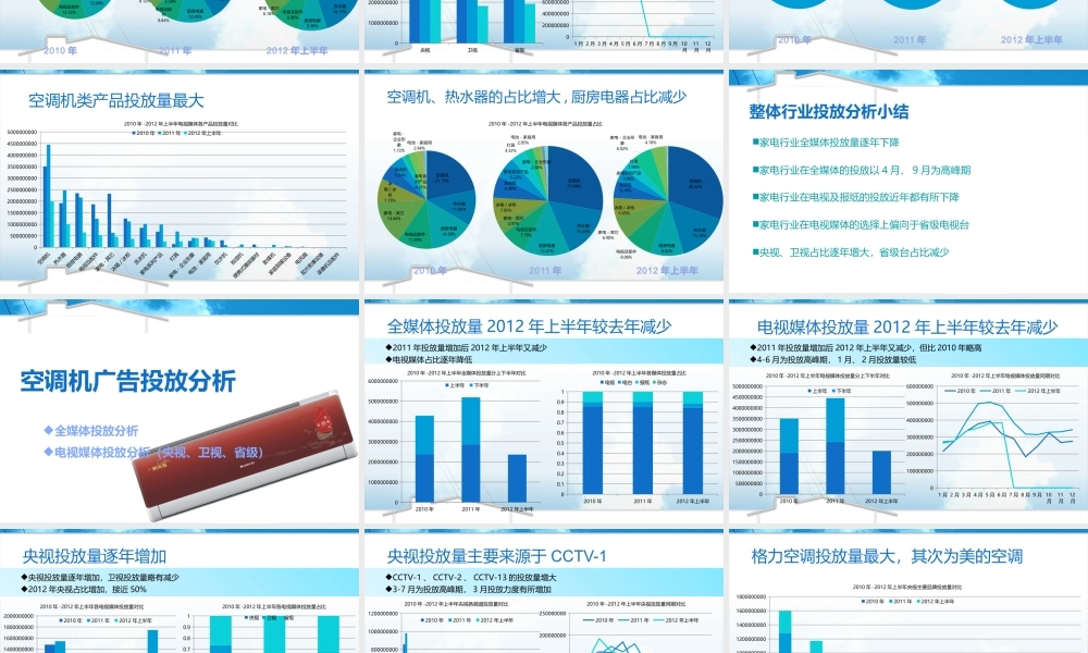 XXXX年家电行业广告投放分析报告
