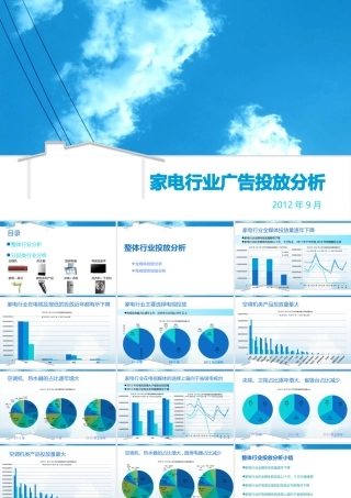 XXXX年家电行业广告投放分析报告