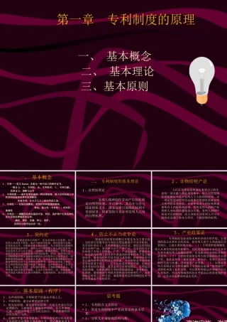 专利制度的原理