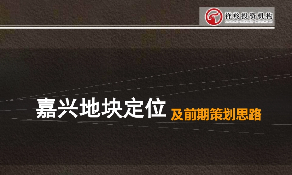 XXXX年嘉兴地块定位及前期策划思路