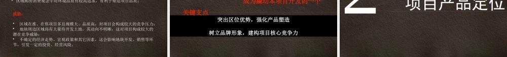 XXXX年嘉兴地块定位及前期策划思路