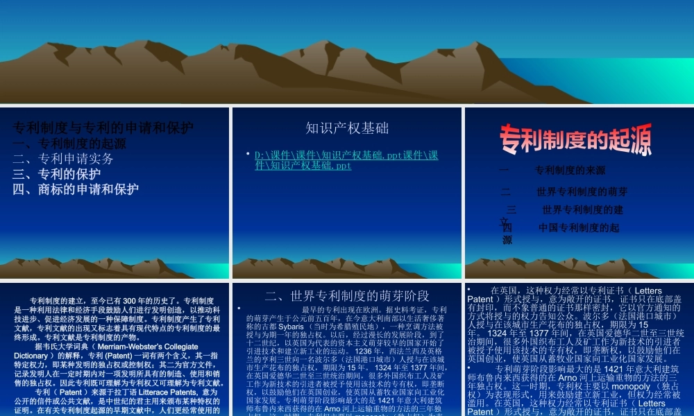专利制度与专利申请实务