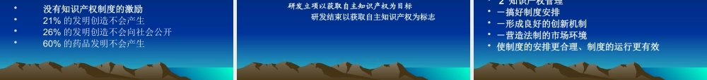 专利制度与专利申请实务