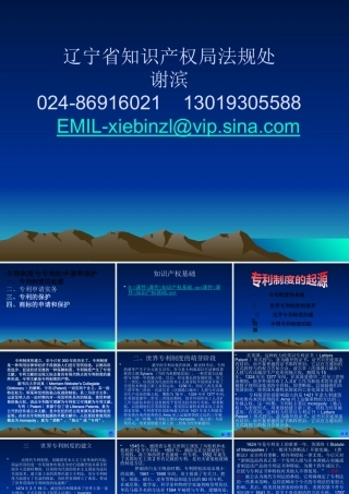 专利制度与专利申请实务