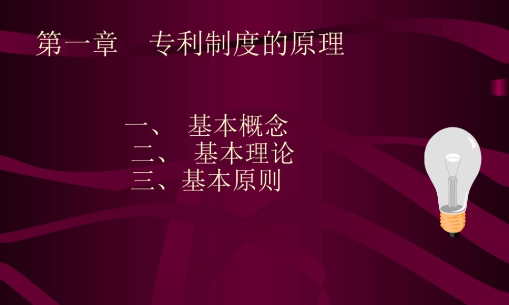 专利制度原理