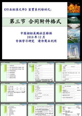 XXXX年建设部标准招标文件精品10《行业标准文件》合同附件格式