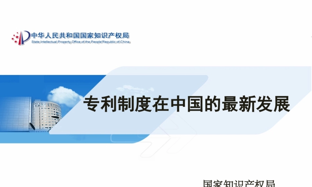 专利制度在中国的最新发展