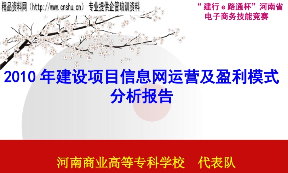 XXXX年建设项目信息网运营及盈利模式分析报告