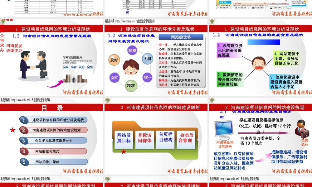 XXXX年建设项目信息网运营及盈利模式分析报告