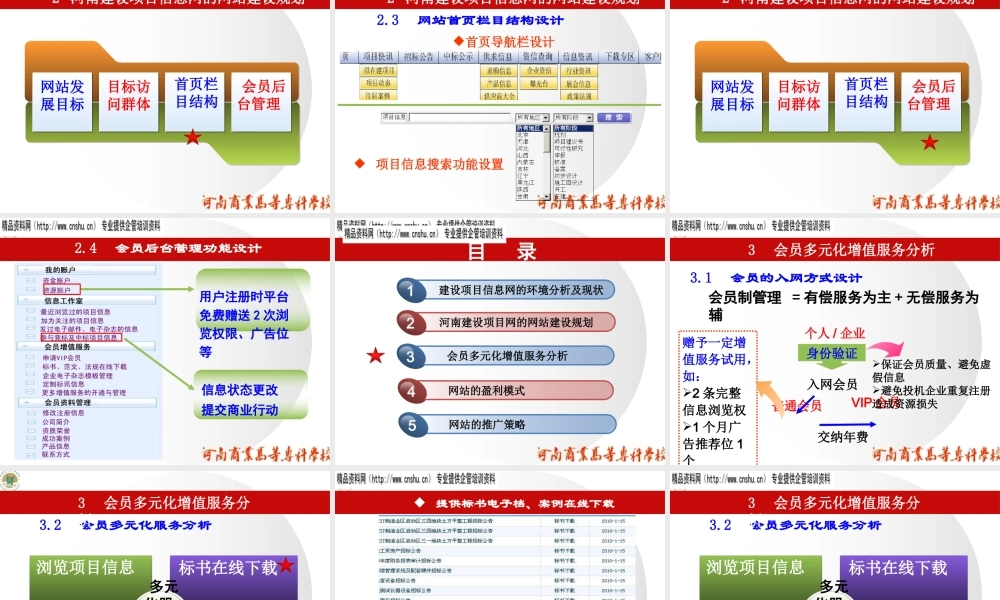 XXXX年建设项目信息网运营及盈利模式分析报告