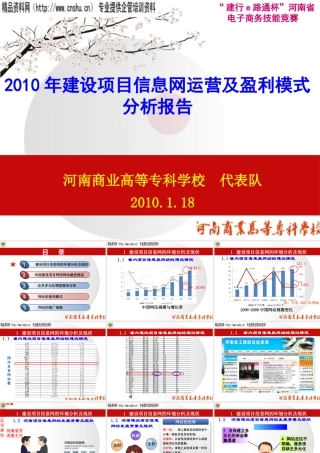 XXXX年建设项目信息网运营及盈利模式分析报告
