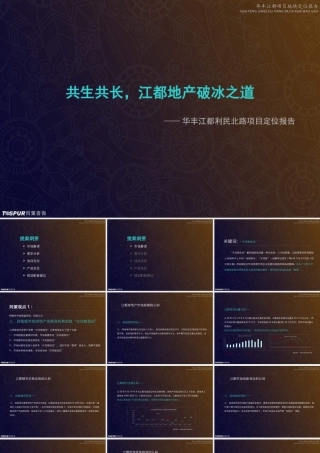 XXXX年江都市利民北路地块项目定位报告