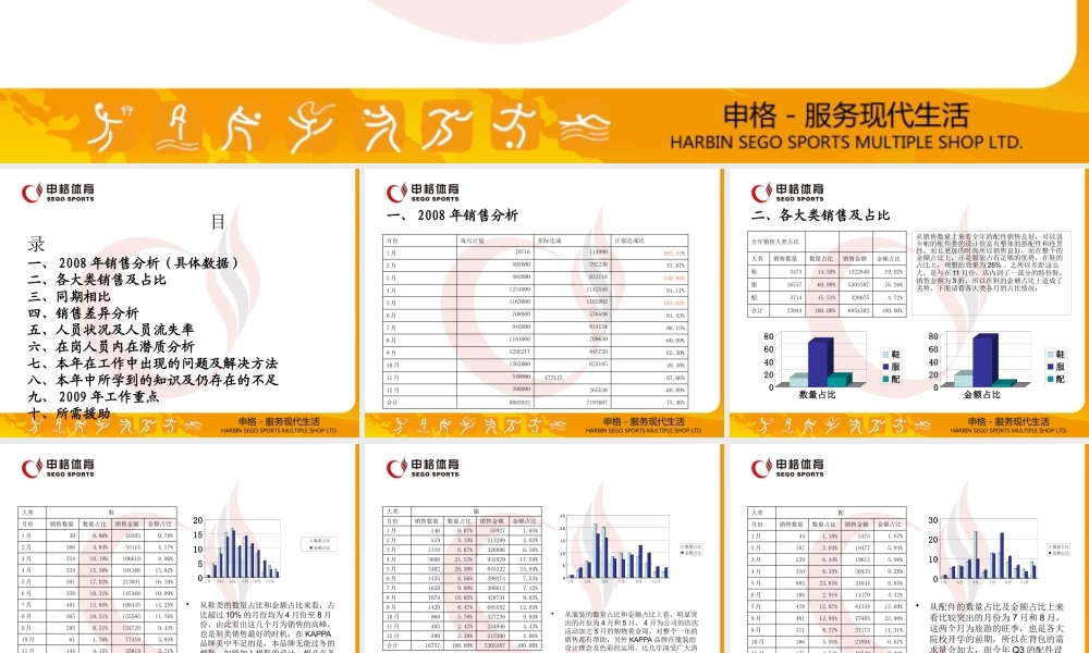 专卖店工作总结