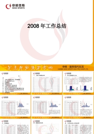 专卖店工作总结