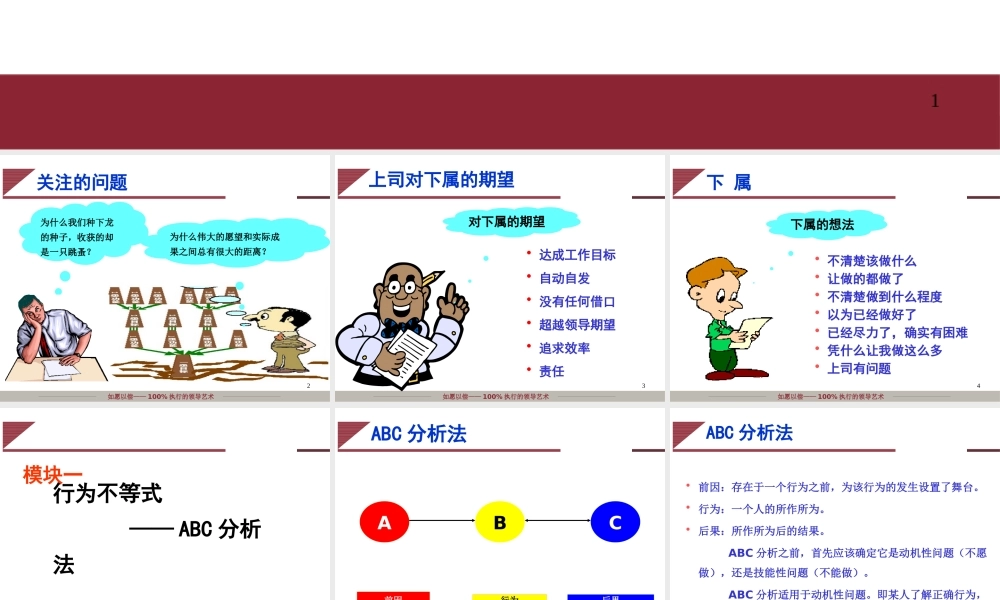 《如愿以偿100%执行的领导艺术》