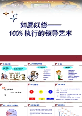 《如愿以偿100%执行的领导艺术》