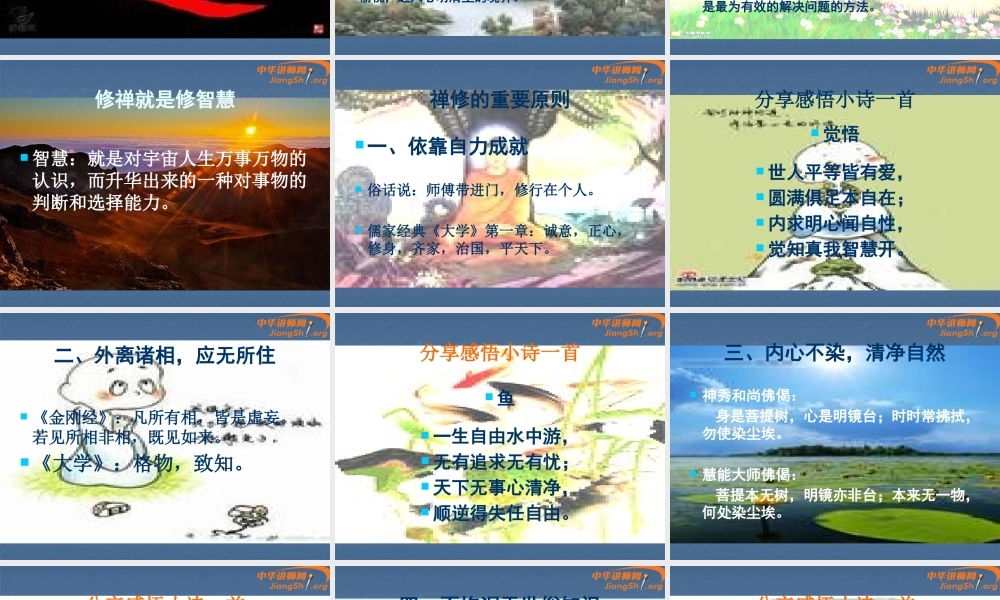 《儒家智慧与禅宗》(蒋爱华)-