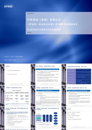 《萨班斯-奥克斯利法案》第404条款遵循项目