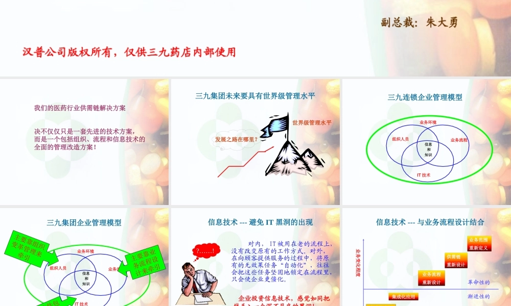 《三九集团连锁体系设计建议书》,某咨询副总裁朱大勇主讲