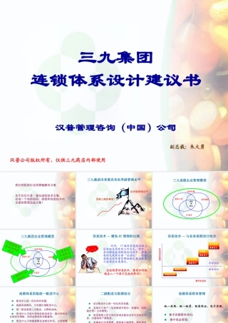 《三九集团连锁体系设计建议书》,某咨询副总裁朱大勇主讲
