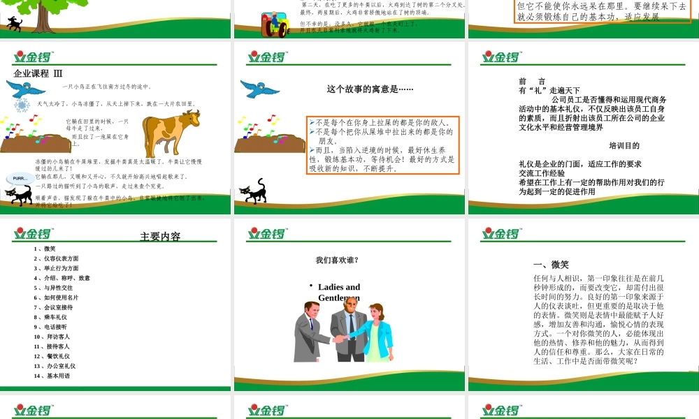 XXXX年金锣企业礼仪培训