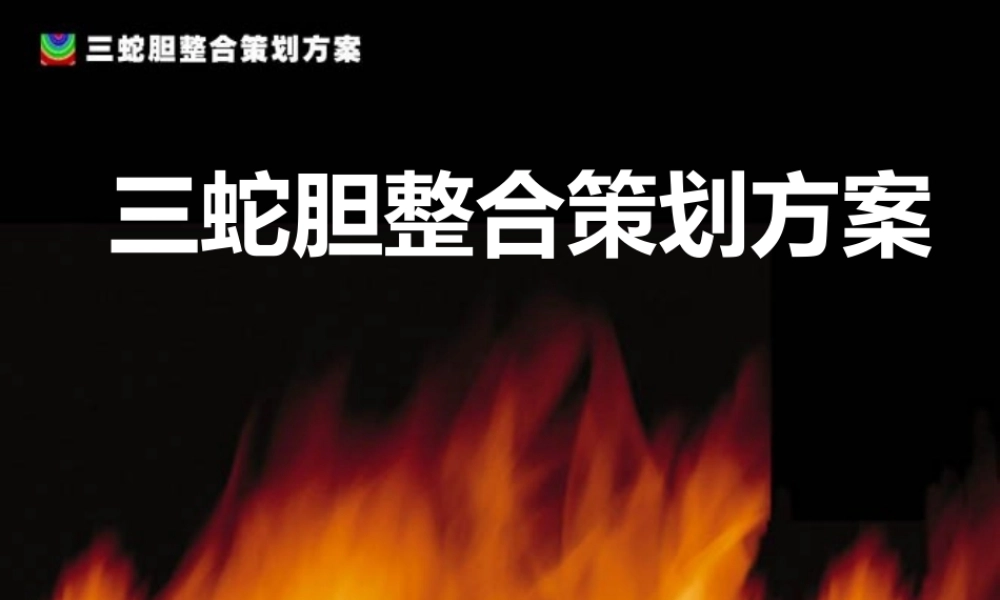 《三蛇胆整合策划方案》