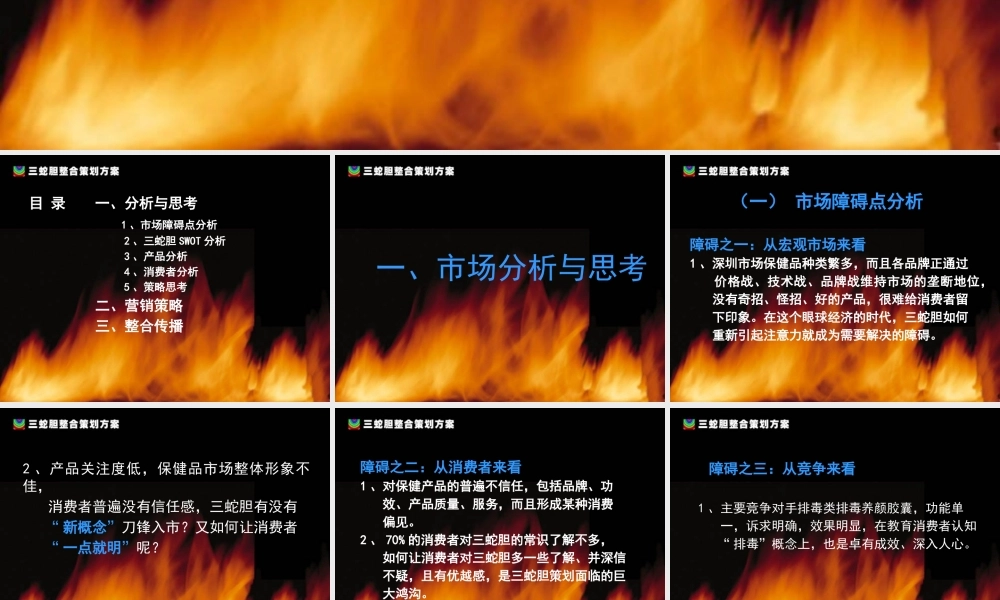 《三蛇胆整合策划方案》