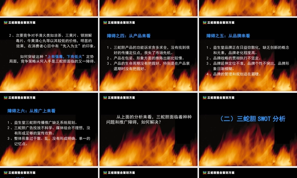 《三蛇胆整合策划方案》