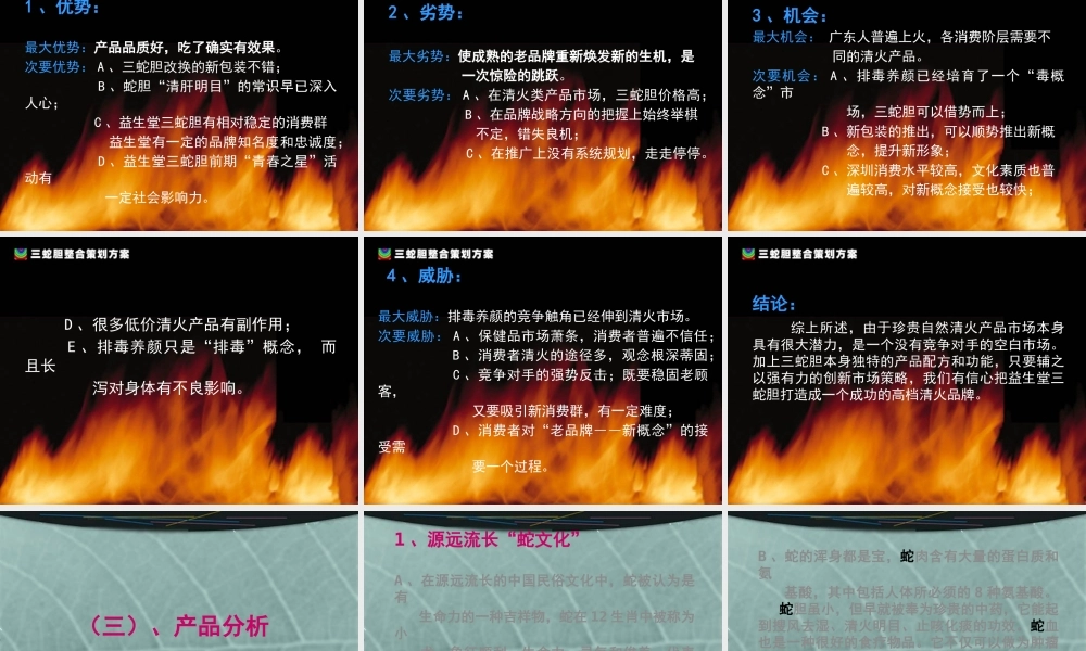 《三蛇胆整合策划方案》