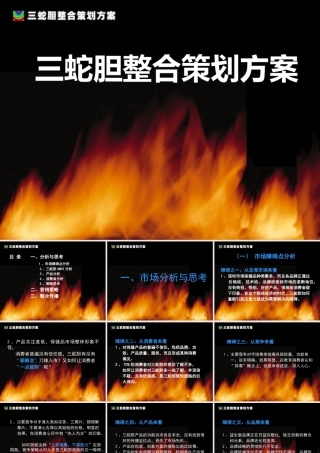 《三蛇胆整合策划方案》