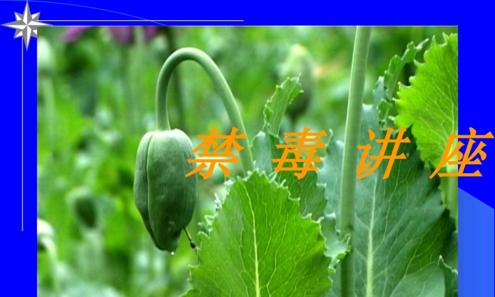 XXXX年禁毒知识讲座（课件）-学习《药品管理法实施条例