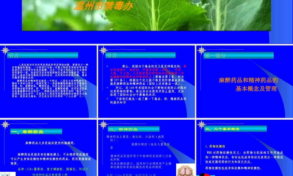 XXXX年禁毒知识讲座（课件）-学习《药品管理法实施条例