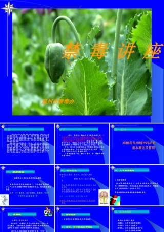 XXXX年禁毒知识讲座（课件）-学习《药品管理法实施条例