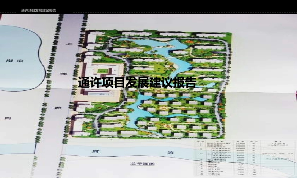 XXXX年开封市通许项目发展建议报告