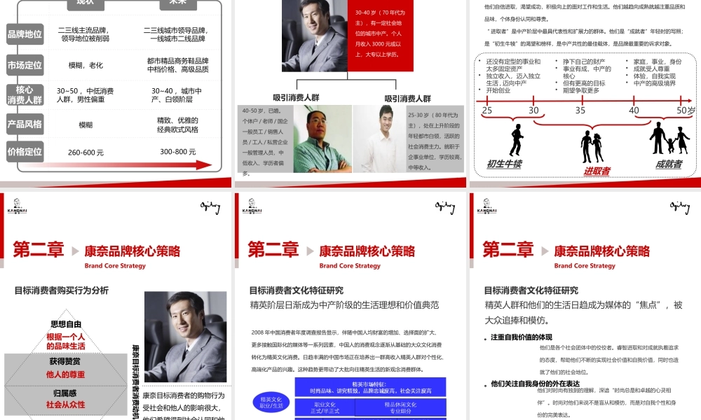XXXX年康奈皮鞋品牌策划案(奥美)