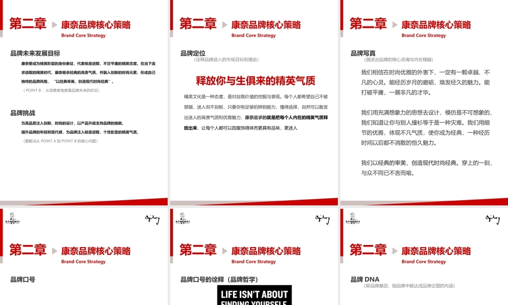 XXXX年康奈皮鞋品牌策划案(奥美)