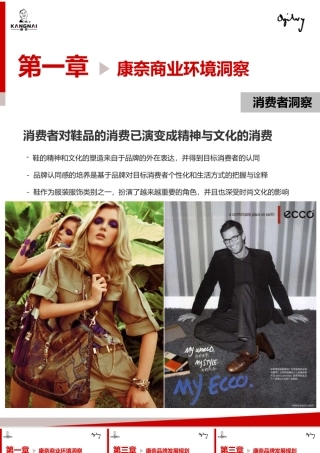 XXXX年康奈皮鞋品牌策划案(奥美)