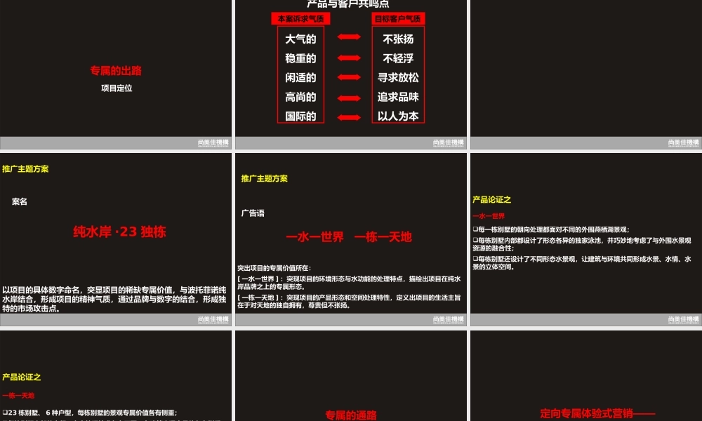 专属价值推广工程-纯水岸二期别墅项目整合管理案