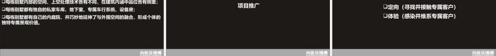 专属价值推广工程-纯水岸二期别墅项目整合管理案