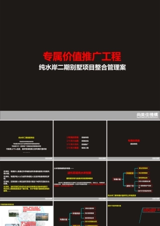 专属价值推广工程-纯水岸二期别墅项目整合管理案