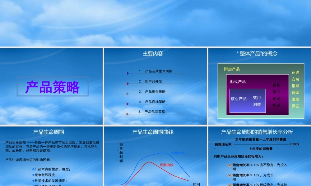 专题3产品策略和定价策略