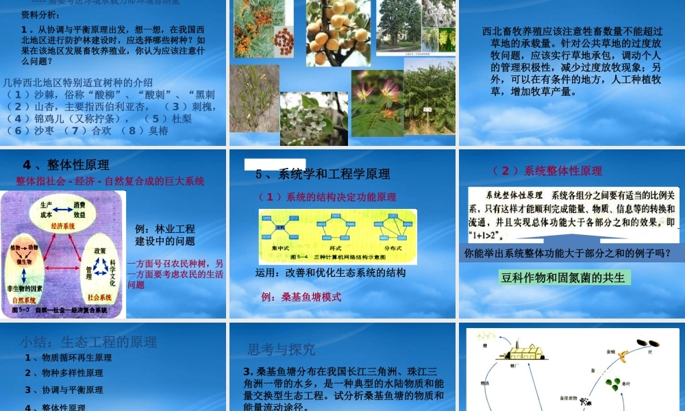 专题5生态工程ppt-PowerPointPrese