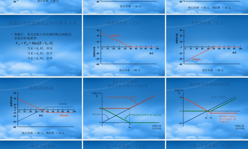专题5选择权(ppt 58)