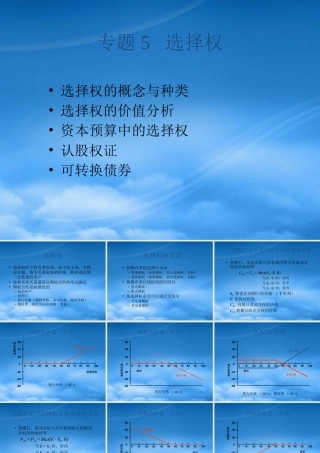 专题5选择权
