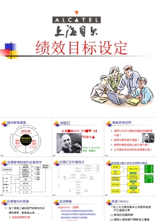 《上海贝尔绩效目标设定》45页