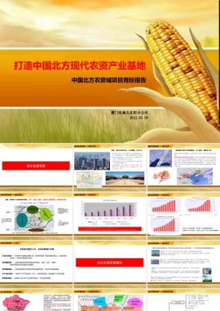 XXXX年辽宁北方农资城农资产业基地项目竞标