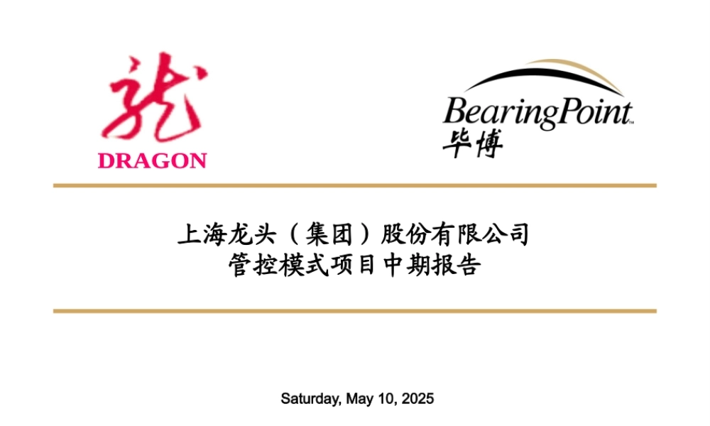 《上海龙头集团公司管控模式项目中期报告》KPMG(73